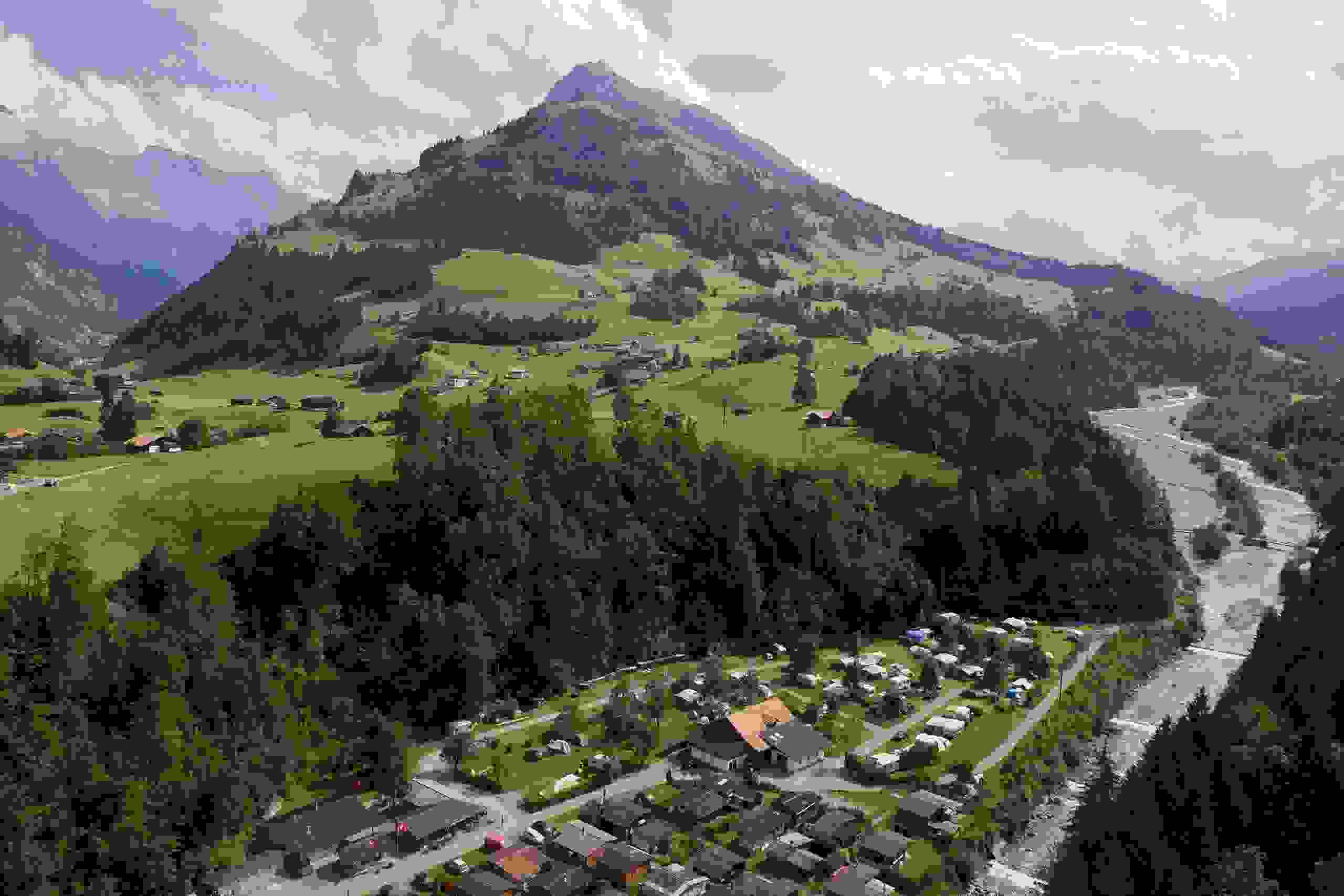Grassi — photo 4