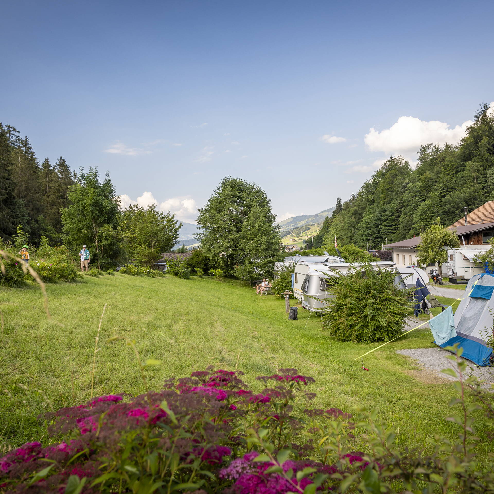 Komfortparzelle Camping Grassi Frutigen Komfortparzelle