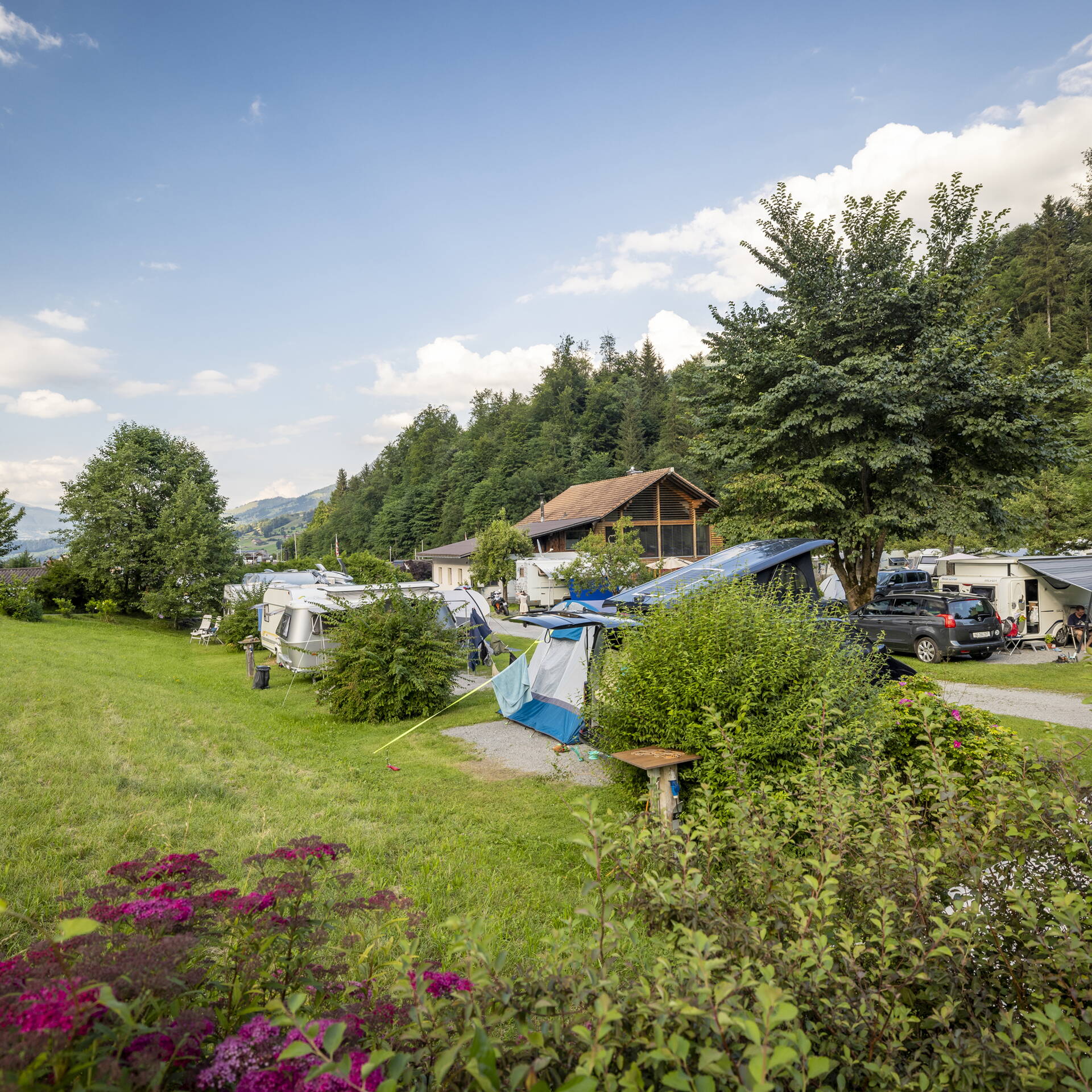 Standardparzelle Camping Grassi Frutigen Standardparzelle
