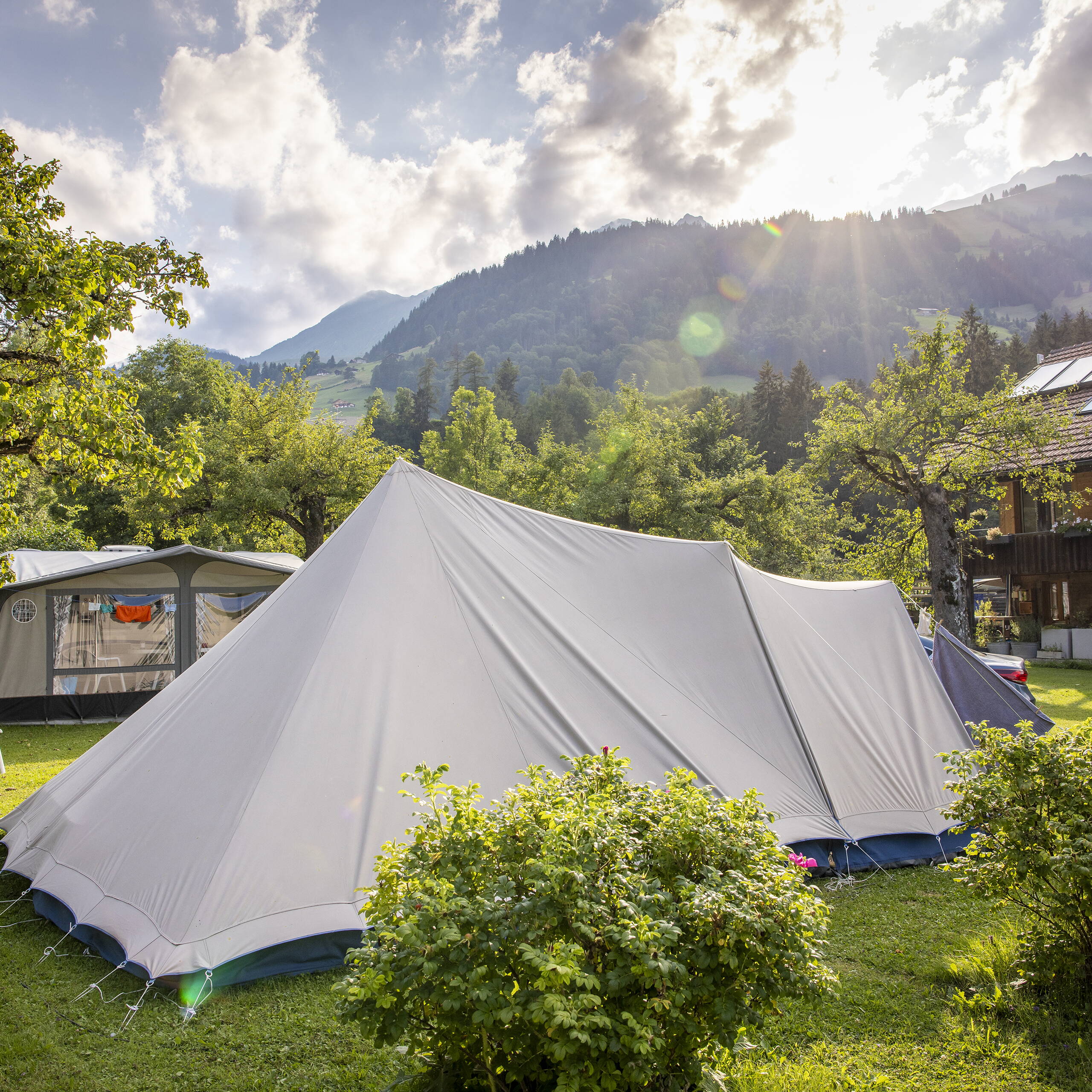 Standardparzelle Camping Grassi Frutigen Standardparzelle